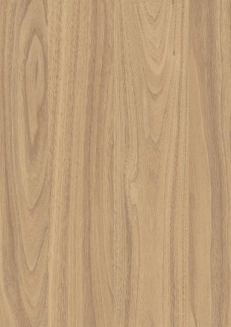 HONEY CARINI WALNUT (MESA SELECT)