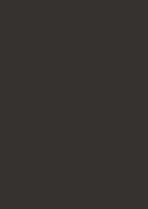 GRAPHITE GREY MATTE (PLATEAU)