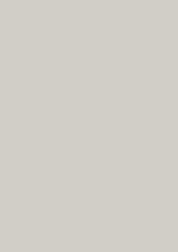 LIGHT GREY MATTE (PLATEAU)