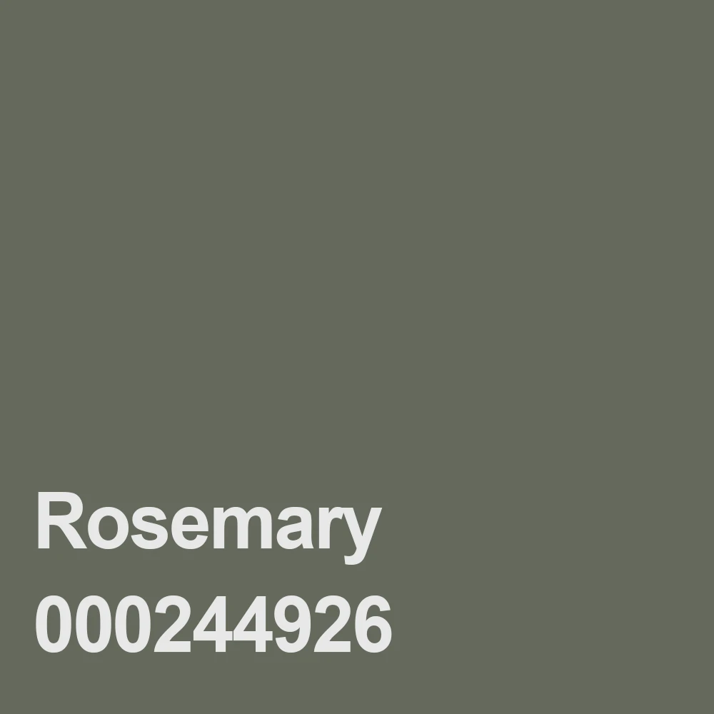 Rosemary 000244926
