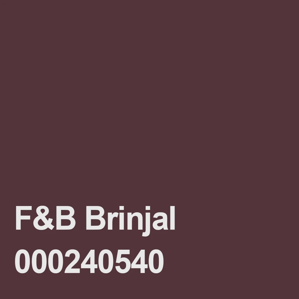 F&B Brinjal 000240540