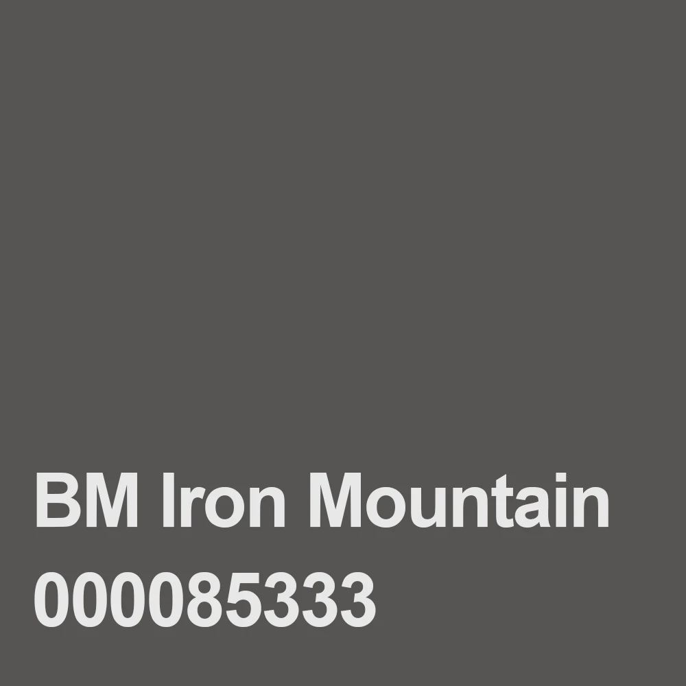 BM Iron Mountain 000085333