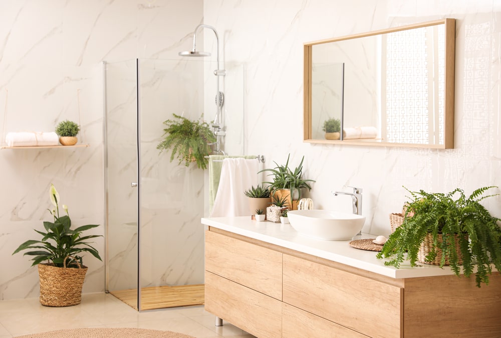 best plants to keep in the bathroom